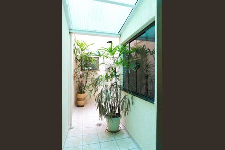Jardim de Inverno de casa à venda com 3 quartos, 198m² em Bangú, Santo André