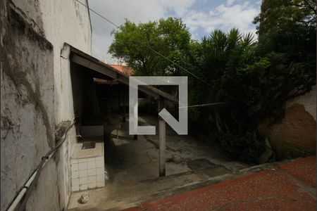 Área de serviço - Quintal de casa à venda com 2 quartos, 200m² em Cambuci, São Paulo