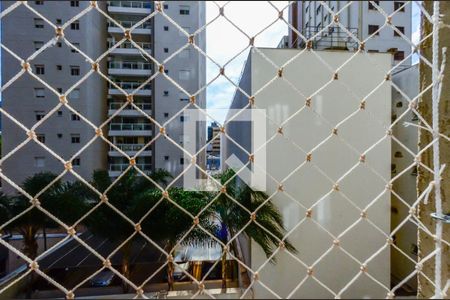 Vista da Suíte de apartamento para alugar com 3 quartos, 90m² em Vila Itapura, Campinas