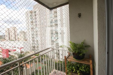 Apartamento à venda com 2 quartos, 61m² em Vila Antonieta, São Paulo