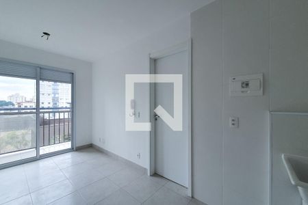 Sala/cozinha de apartamento para alugar com 1 quarto, 29m² em Jardim da Gloria, São Paulo