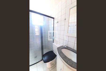 Banheiro Social de apartamento para alugar com 2 quartos, 75m² em Castelo, Belo Horizonte
