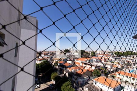 Vista da Lavanderia de apartamento à venda com 2 quartos, 49m² em Vila Bela Vista (zona Norte), São Paulo