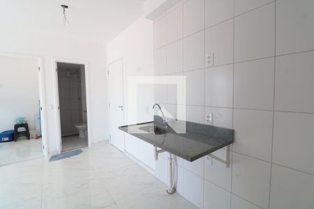 Cozinha e Área de Serviço de apartamento para alugar com 2 quartos, 38m² em Vila Invernada, São Paulo