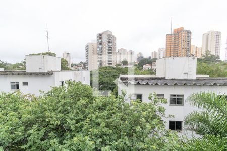 Apartamento à venda com 3 quartos, 75m² em Conjunto Residencial Butantã, São Paulo