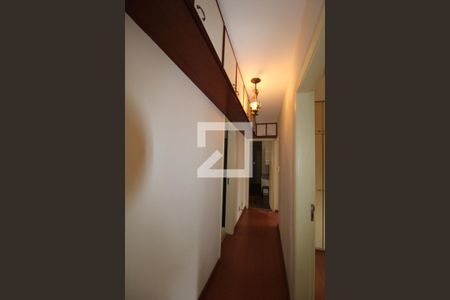 Corredor de apartamento à venda com 3 quartos, 94m² em Cambuí, Campinas