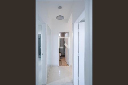 Corredor de apartamento para alugar com 3 quartos, 66m² em Sagrada Família, Belo Horizonte