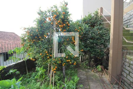 Casa de condomínio à venda com 367m², 4 quartos e 2 vagas Casa de condomínio à venda com 367m², 4 quartos e 2 vagasQuintal