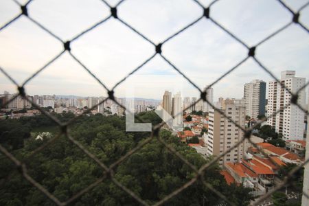 Vista de apartamento à venda com 3 quartos, 156m² em Aclimação, São Paulo