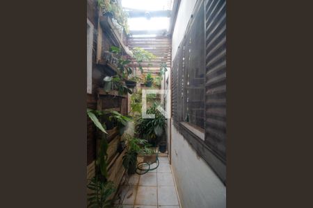 Jardim De inverno de casa à venda com 2 quartos, 120m² em Jardim Novo Campos Elíseos, Campinas