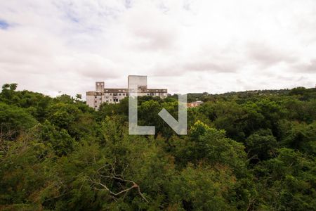 Vista do Quarto 1 de apartamento à venda com 2 quartos, 50m² em Cavalhada, Porto Alegre