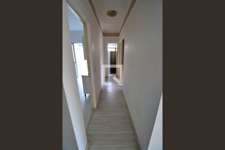 Corredor de apartamento à venda com 2 quartos, 56m² em Jardim Aero Continental, Campinas