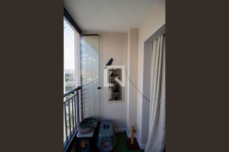 Sala / Varanda de apartamento para alugar com 2 quartos, 62m² em Jardim Norma, São Paulo