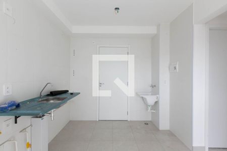 Cozinha de apartamento para alugar com 2 quartos, 32m² em Vila Carmosina, São Paulo