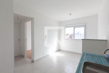 Cozinha de apartamento para alugar com 2 quartos, 32m² em Vila Carmosina, São Paulo