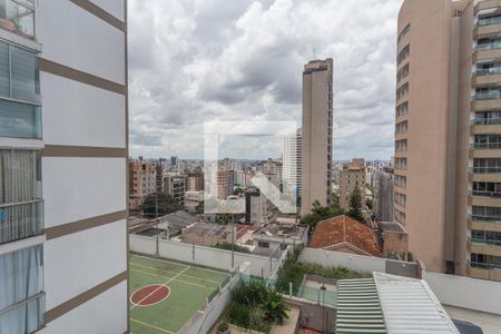 Vista da Sala de apartamento para alugar com 2 quartos, 86m² em Santo Antônio, Belo Horizonte