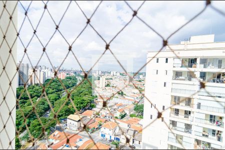 Vista da Varanda de apartamento à venda com 3 quartos, 72m² em Vila Monte Alegre, São Paulo