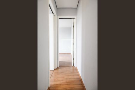 Corredor de apartamento para alugar com 2 quartos, 52m² em Imirim, São Paulo