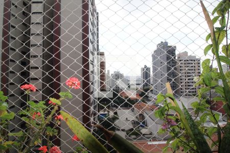 Vista sala de apartamento à venda com 4 quartos, 115m² em Santa Paula, São Caetano do Sul