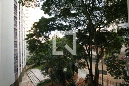 Sala - Vista de apartamento à venda com 3 quartos, 164m² em Vila Mariana, São Paulo