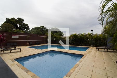 Apartamento para alugar com 65m², 2 quartos e 1 vaga Apartamento para alugar com 65m², 2 quartos e 1 vagaÁrea comum - Piscina