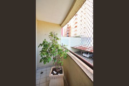 Varanda da Sala de apartamento para alugar com 2 quartos, 78m² em Santa Terezinha, São Bernardo do Campo