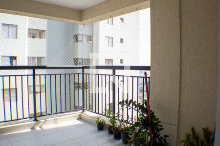 Varanda de apartamento à venda com 2 quartos, 67m² em Vila Mascote, São Paulo
