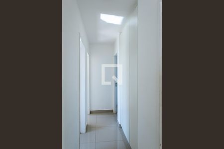 Corredor e Roupeiro de apartamento para alugar com 3 quartos, 80m² em Castelo, Belo Horizonte