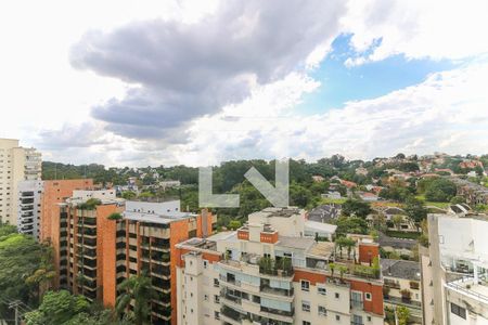Vista da Varanda de apartamento para alugar com 3 quartos, 370m² em Real Parque, São Paulo