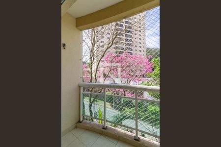 Varanda de apartamento para alugar com 2 quartos, 53m² em Vila Suzana, São Paulo