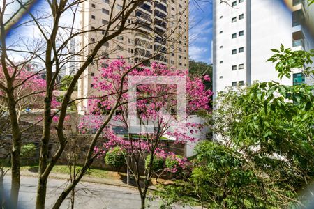 Varanda Vista de apartamento para alugar com 2 quartos, 53m² em Vila Suzana, São Paulo