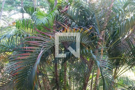 Casa para alugar com 4424m², 3 quartos e 8 vagas Casa para alugar com 4424m², 3 quartos e 8 vagasVista Quarto 2