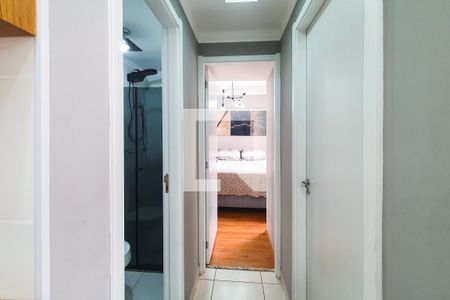 Corredor de apartamento para alugar com 2 quartos, 43m² em Cambuci, São Paulo