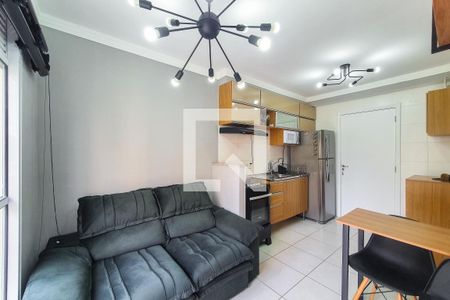 Sala de apartamento para alugar com 2 quartos, 43m² em Cambuci, São Paulo