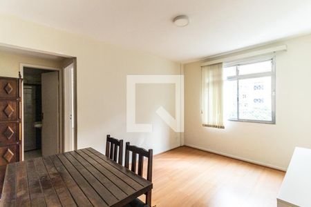 Sala de apartamento para alugar com 1 quarto, 45m² em Vila Buarque, São Paulo