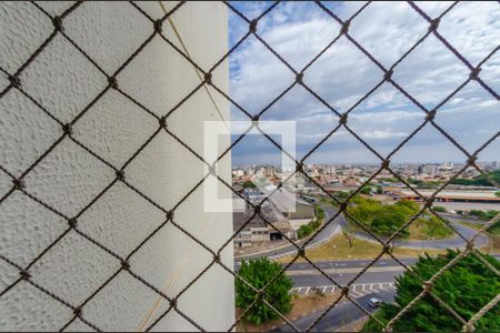 Vista da Suíte de apartamento à venda com 3 quartos, 236m² em Jardim Chapadão, Campinas