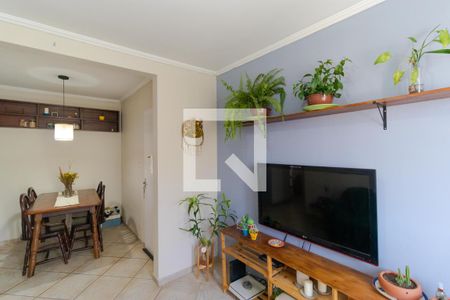 Salas de apartamento para alugar com 2 quartos, 52m² em Jardim Ipiranga, Campinas