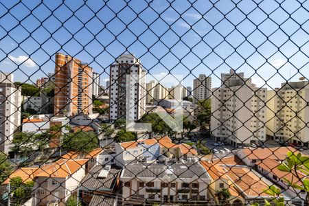 Varanda da Sala - Vista de apartamento à venda com 3 quartos, 74m² em Vila Monumento, São Paulo