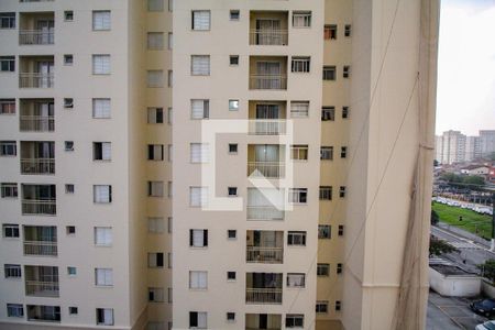 sacada Sala de apartamento para alugar com 2 quartos, 50m² em Limão, São Paulo