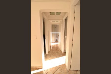 Corredor de apartamento para alugar com 3 quartos, 74m² em Jardim Anton Von Zuben, Campinas