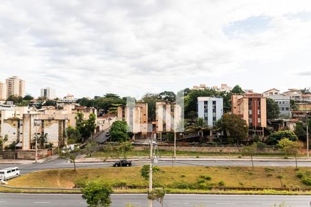 Vista do Quarto 1 de apartamento para alugar com 2 quartos, 45m² em Santa Amélia, Belo Horizonte