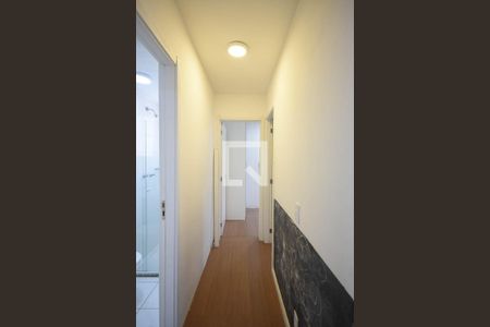 Corredor de apartamento para alugar com 2 quartos, 42m² em Jardim Novo Taboão, São Paulo