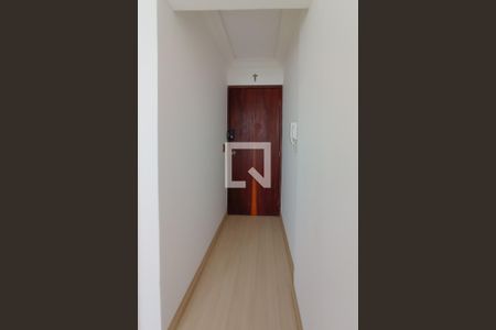 Entrada de apartamento para alugar com 2 quartos, 42m² em Bigorrilho, Curitiba