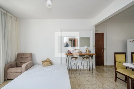 Sala de apartamento à venda com 2 quartos, 80m² em Nova Suíssa, Belo Horizonte