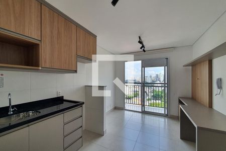 Sala/cozinha de apartamento para alugar com 1 quarto, 34m² em Jardim da Gloria, São Paulo