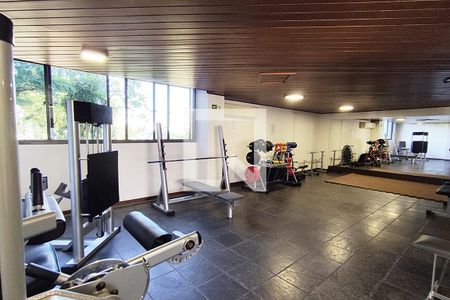 Apartamento à venda com 540m², 4 quartos e 4 vagas Apartamento à venda com 540m², 4 quartos e 4 vagasÁrea comum - Academia