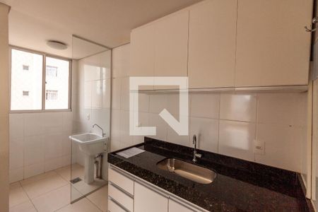 Cozinha de apartamento para alugar com 2 quartos, 55m² em Santa Monica, Belo Horizonte