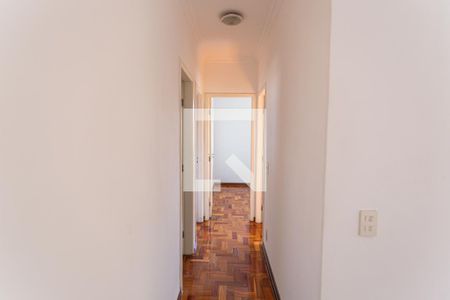 Corredor de apartamento para alugar com 3 quartos, 62m² em Santo Andre, Belo Horizonte