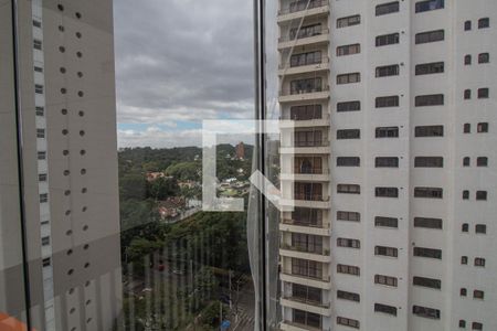 vista da Sacada de kitnet/studio à venda com 1 quarto, 50m² em Jardim Santo Amaro, São Paulo