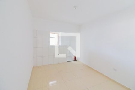 Kitnet - Sala  / Cozinha de apartamento para alugar com 1 quarto, 40m² em Vila Polopoli, São Paulo